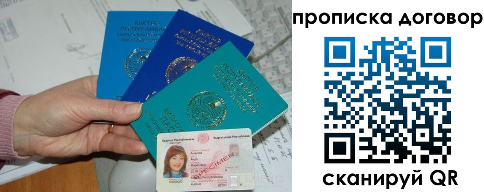 прописка поиск в Грозном